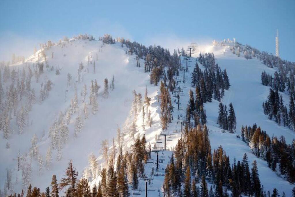 New Upscale House, Tahoe 30-Min W/ Cal King Reno Eksteriør bilde